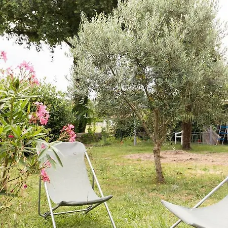 Petit Coin De Detente Seyresse Exterior photo