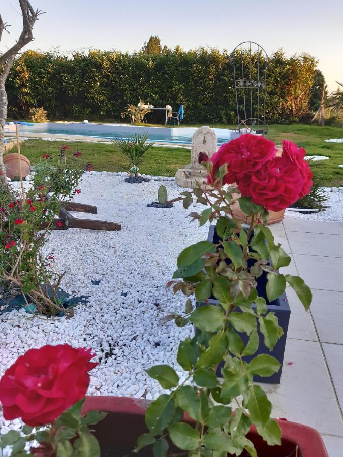 Petit Coin De Detente Apartment Seyresse
