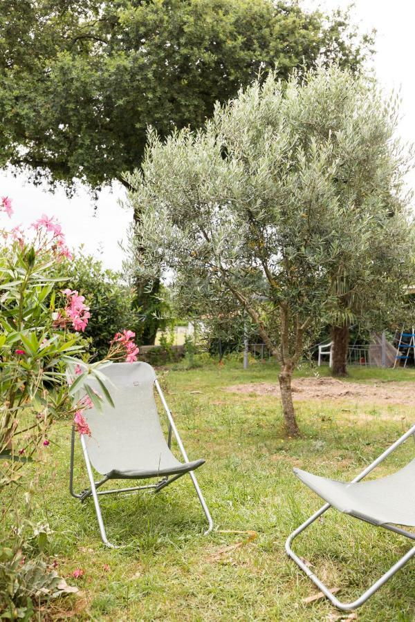 Petit Coin De Detente Seyresse